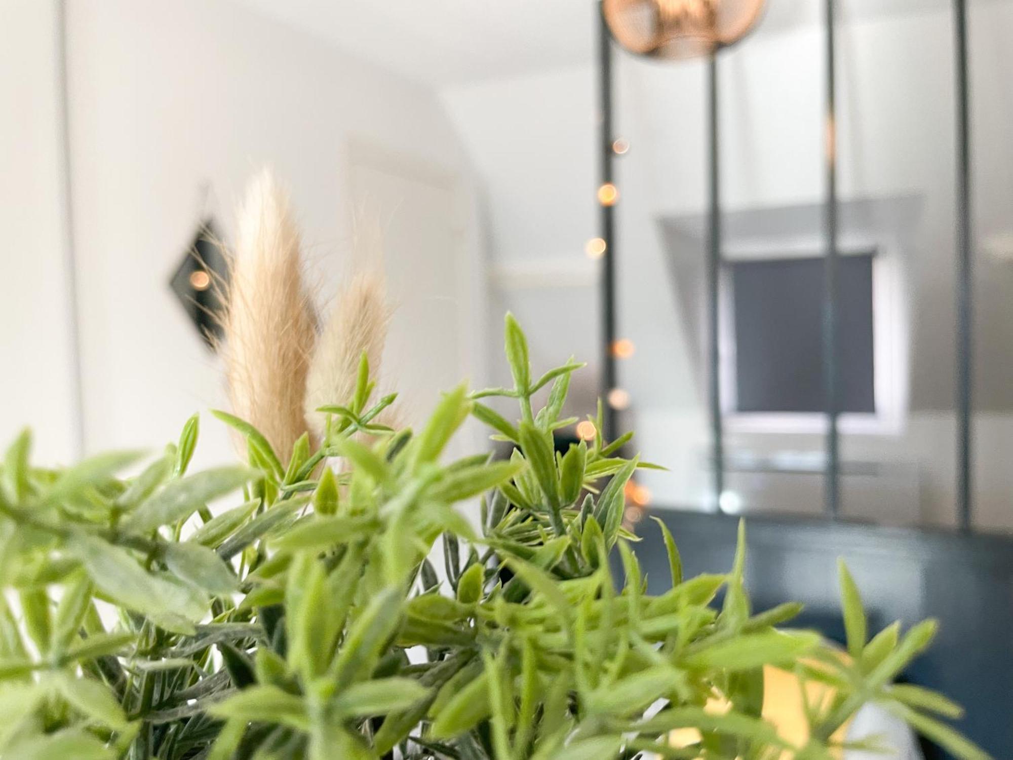 Le 12 Bis - Cosy Apartment Cherbourg-en-Cotentin Bagian luar foto